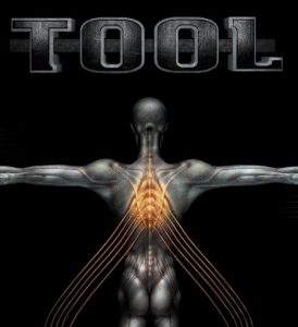 Tool-salival-album